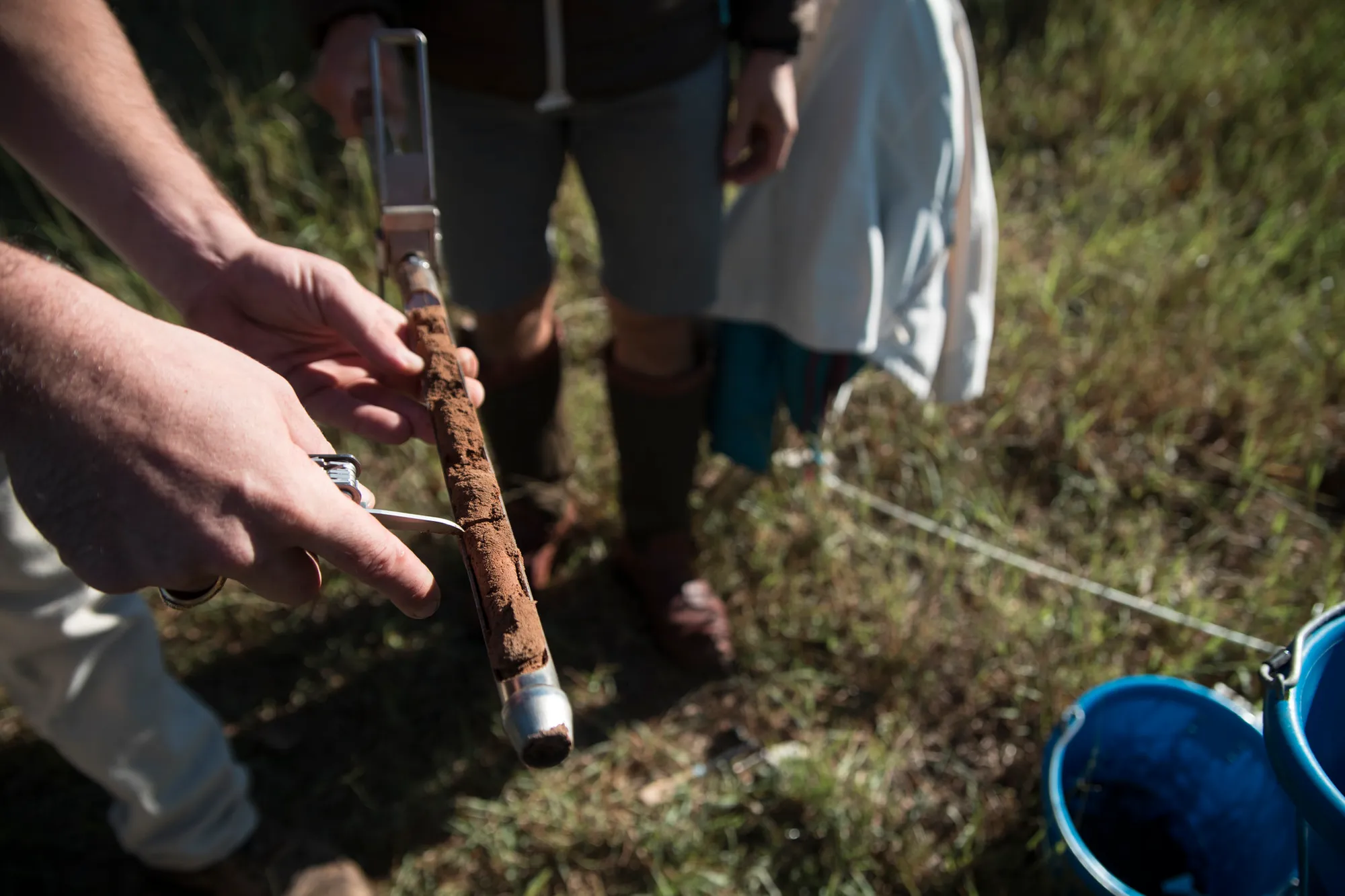 Soil core sampling in the field