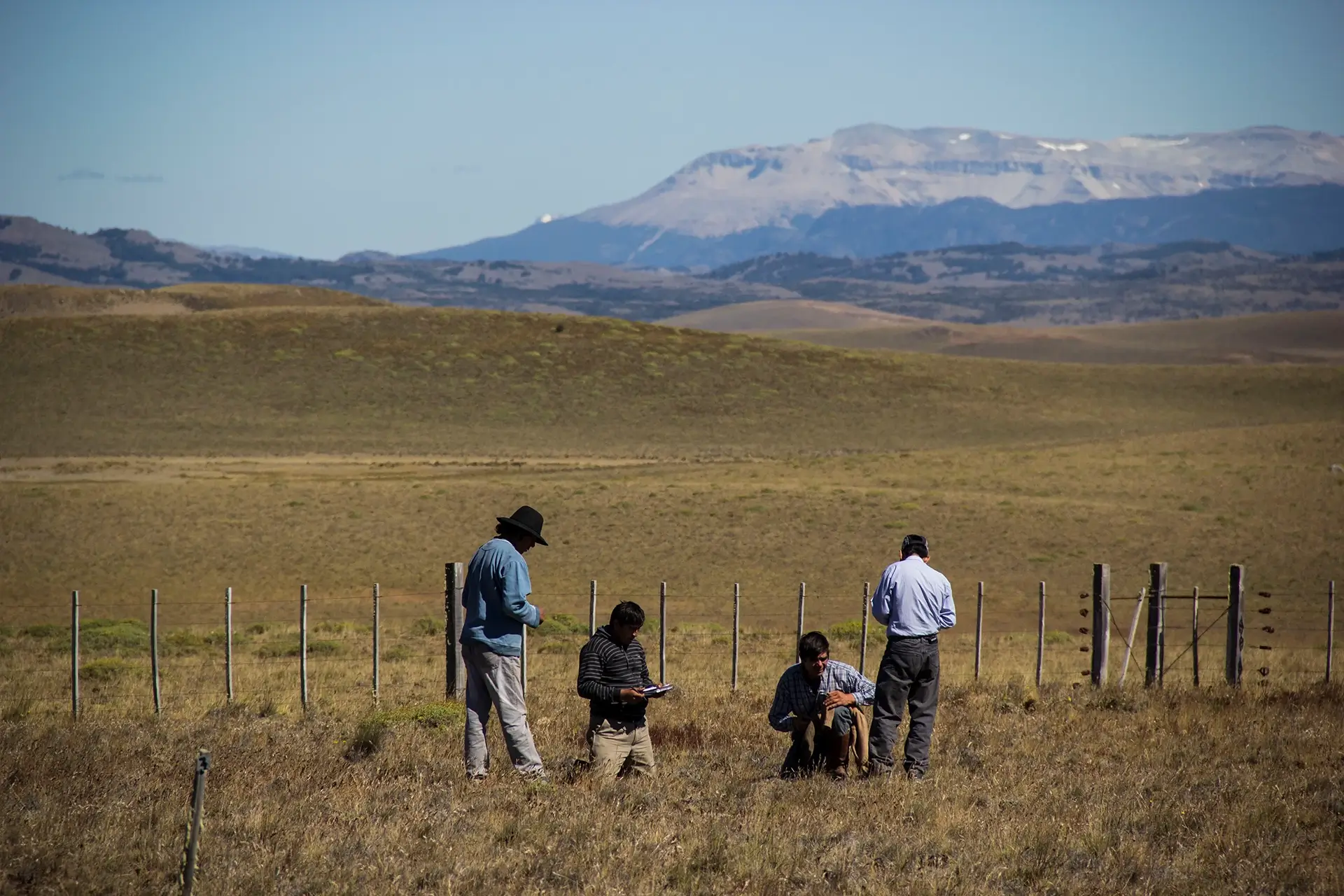 Productores regenerativos