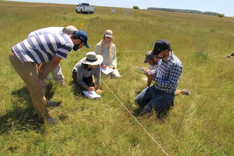 Una nueva generacion de productores