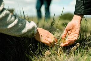 Programa Sara: Hemos logrado la primera emisión de créditos de carbono